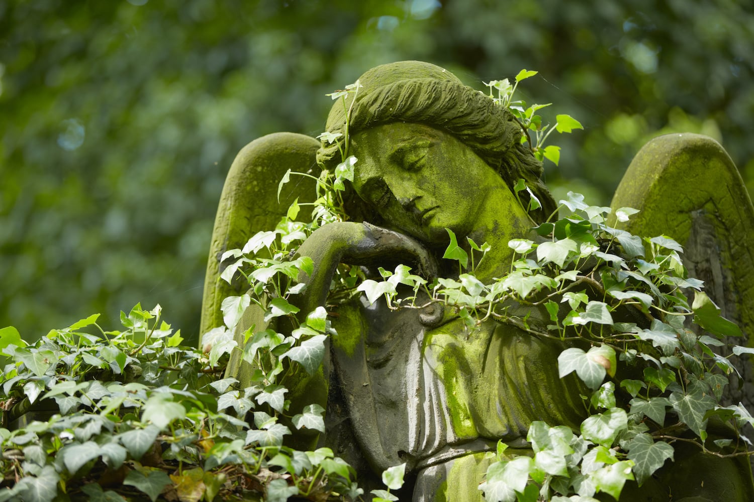 8 things to look out for before choosing cemetery plots